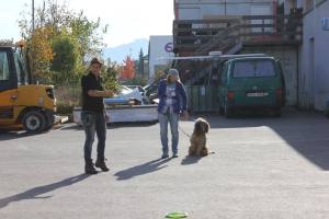 Team HNB Quasselstrippe