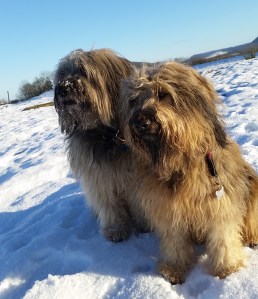 pauli und herta im winter huschu