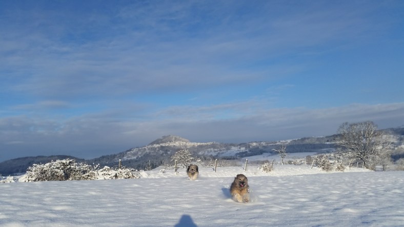 BestPhoto_20150131_190307_1