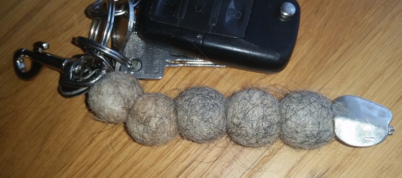 20150311_125811_bearbeitet