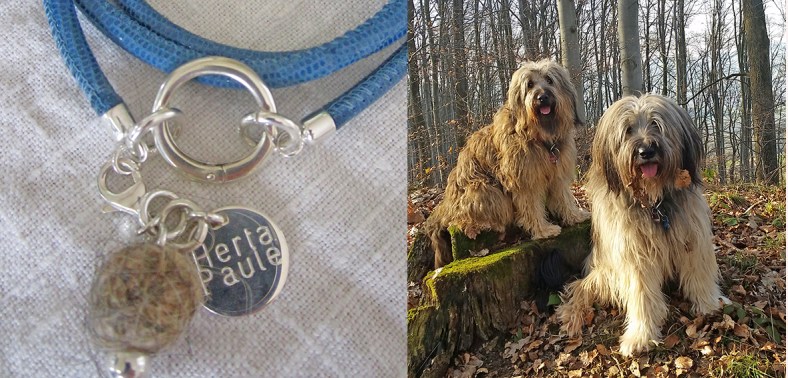 IMG_1632_Beitragsbild