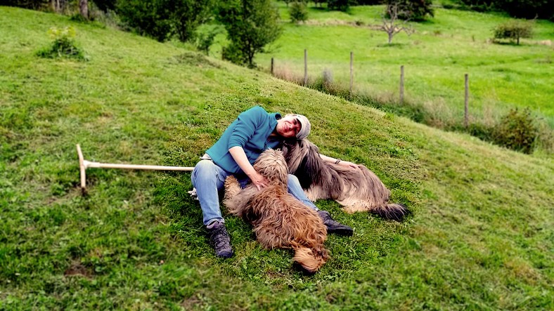 20140818_173354_bearbeitet