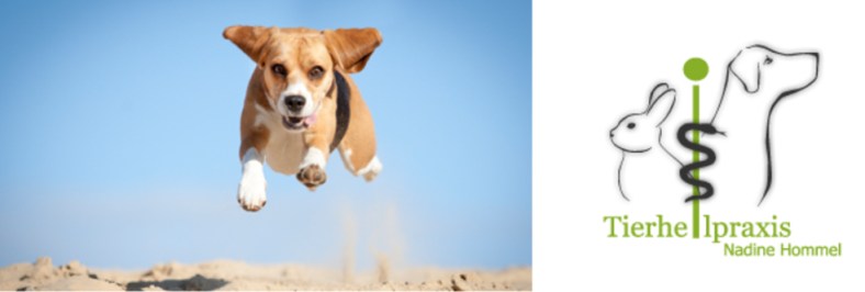 Banner_nadine hommel