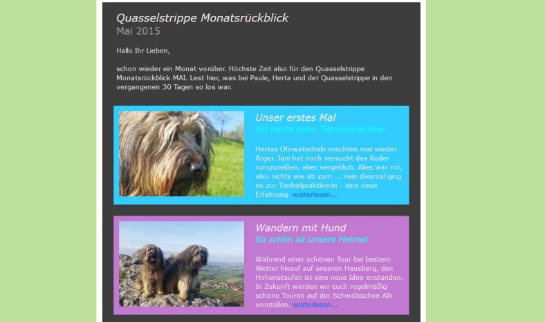 Bild Quasselstrippe Newsletter