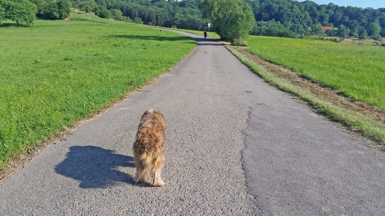 herta und die jogger