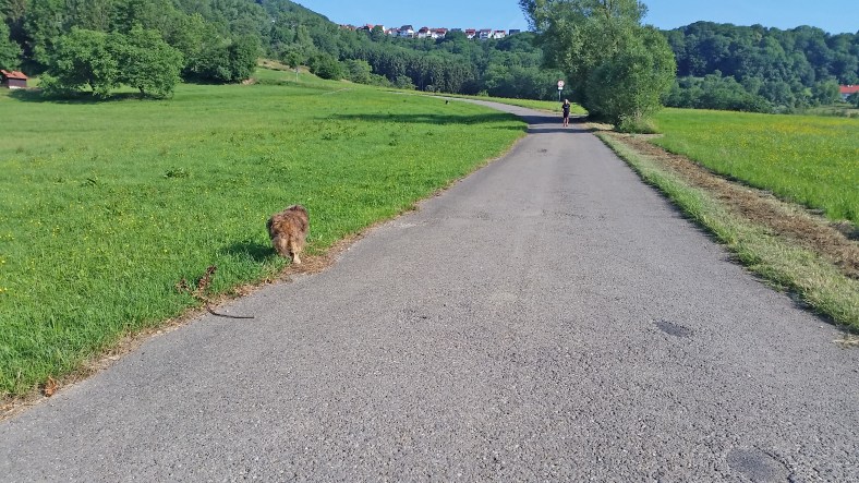 herta und die jogger2