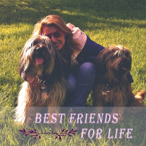 20150528_175302_bearb_filter