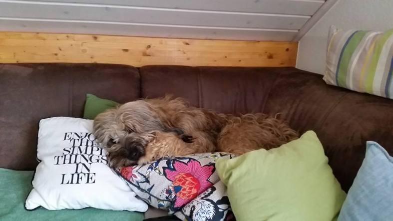 10783_10203004162489661_3366027905733940345_n