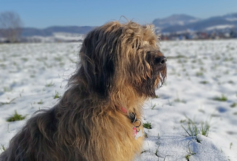 Schnee_Beitragsbild2