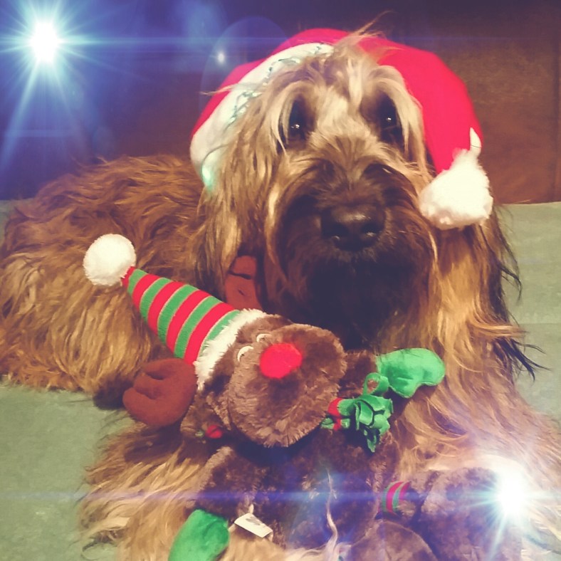 photostudio_1449937088150