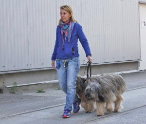 12045399_866435353425387_550038540313434093_o