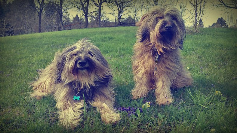 20160329_165640_filter