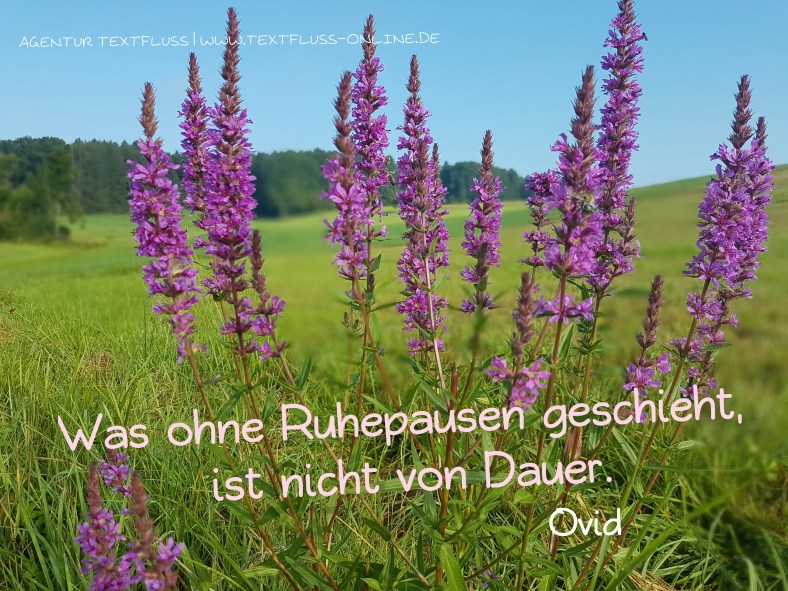 photostudio_1471622219188